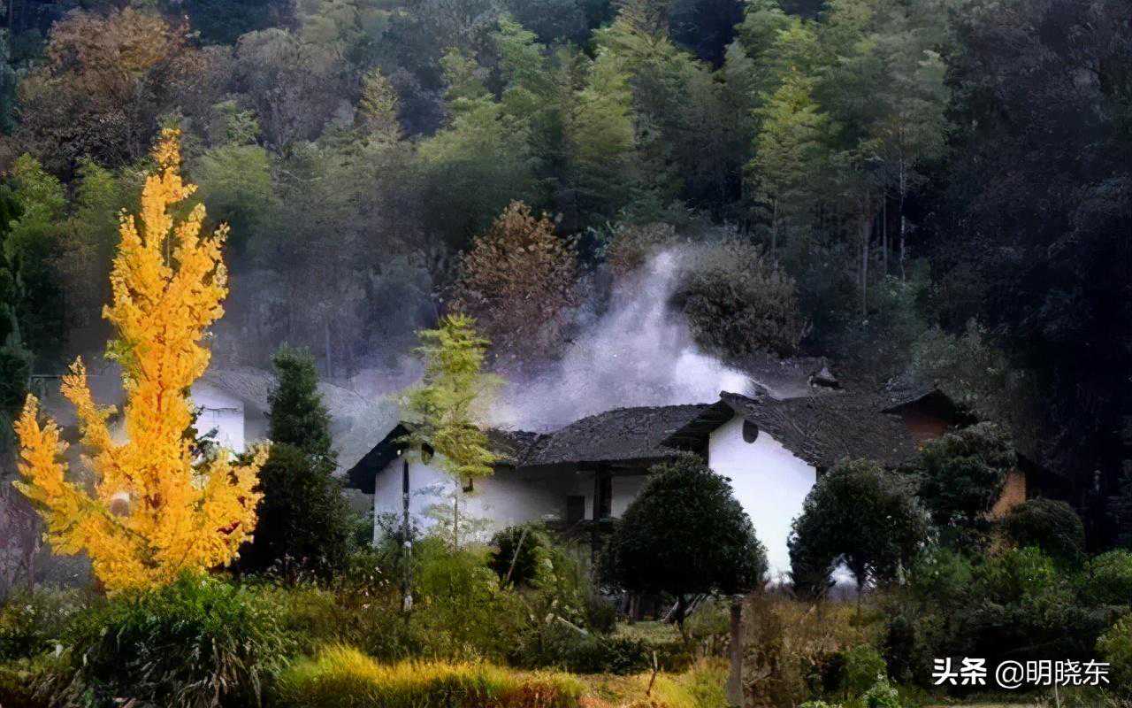 诗歌:缠绕 诗歌:缠绕