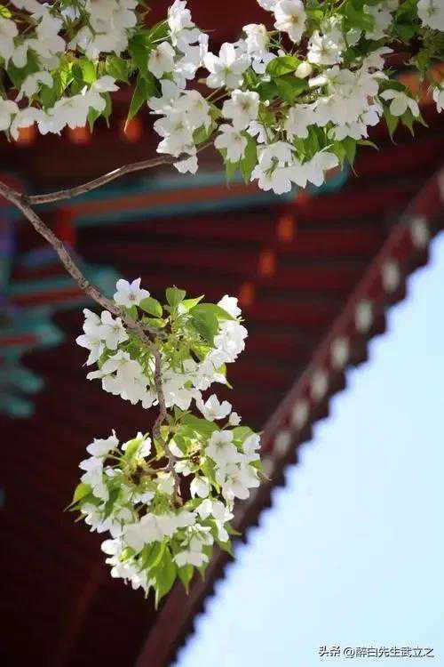 【诗词】五十二首