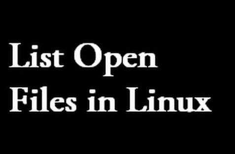 Linux使用lsof查看打开的文件和网络连接