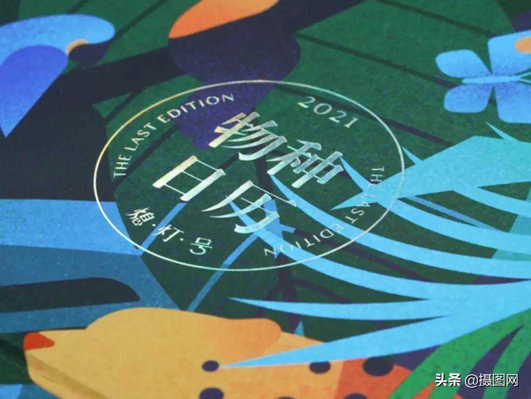 2021绝美日历设计出炉~撕完变成艺术品！又想骗我剁手了