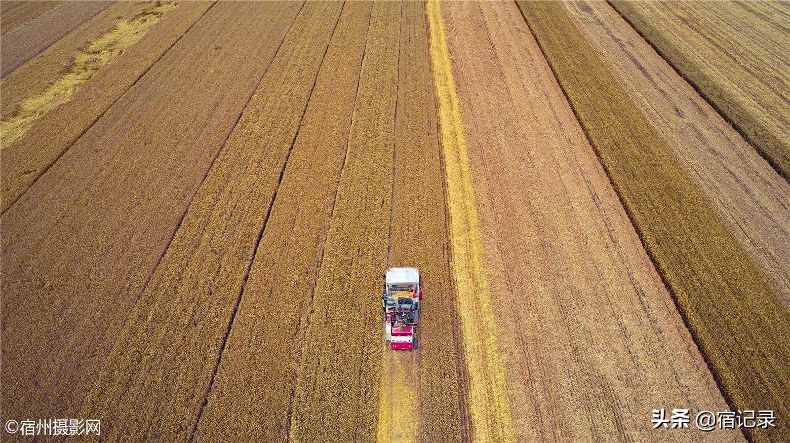 航拍宿州大泽乡午收启动