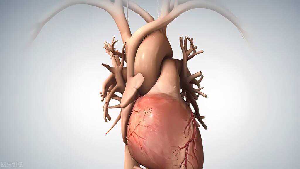 白锋教授谈心房颤动治疗的新尝试——立体定向体部放射治疗