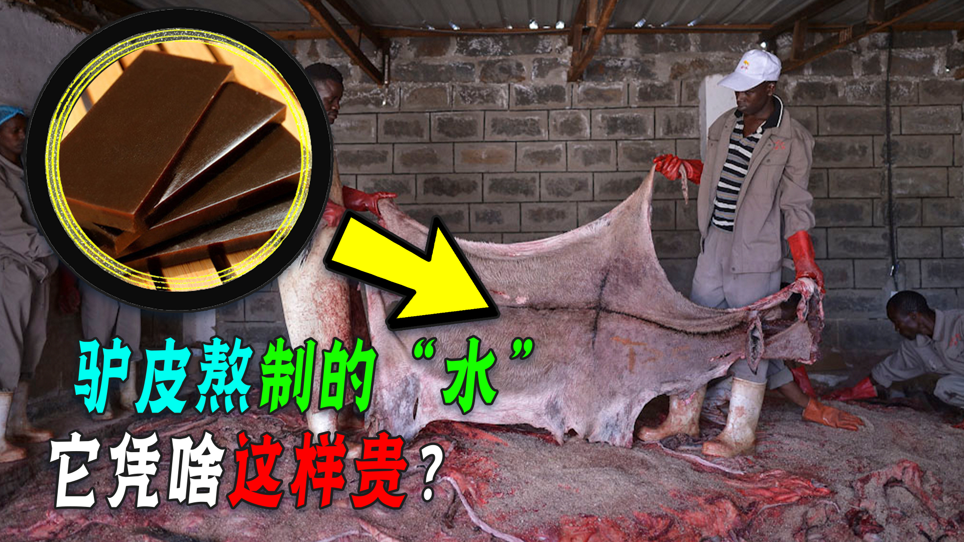 同样是动物皮，为啥猪皮只能做肉冻，驴皮却能包装成阿胶？